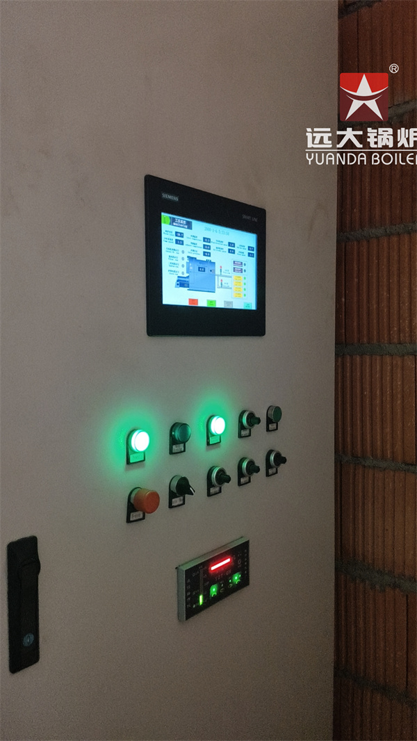 4000kg Biomass Steam Boiler For Pet Food Feed Mill