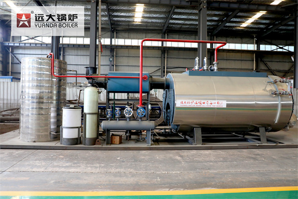 Caldera de Vapor Portátil 500 kg 1000 kg 1500 kg 2000 kg 3000 kg