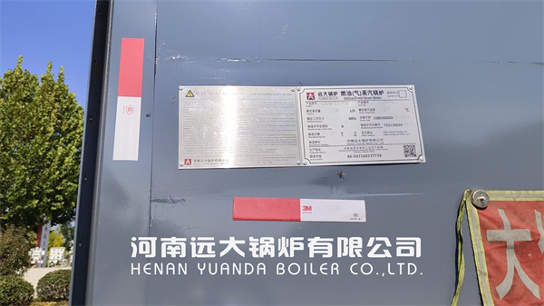 Indonesia Water Tube Steam Boiler 30Ton Hour