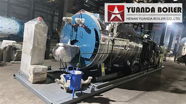 Gas Steam Generator Boiler For Laundry Service