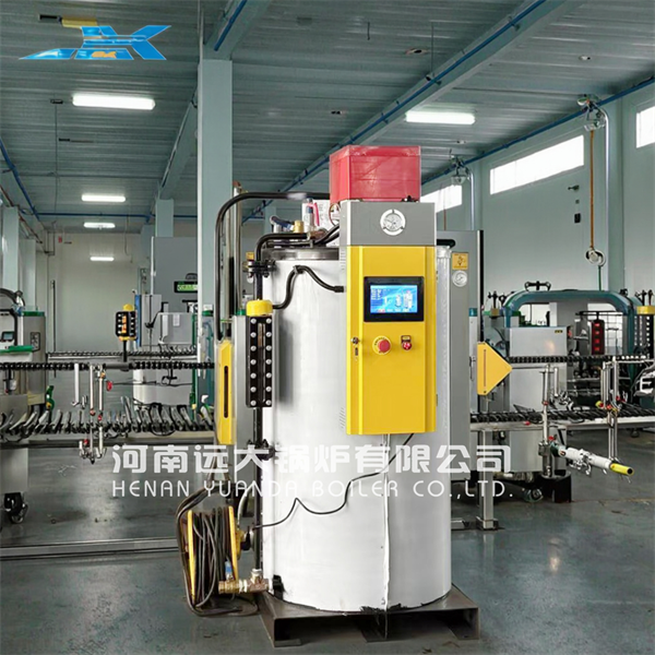 200 kg Gas Steam Generator For Industrial Use