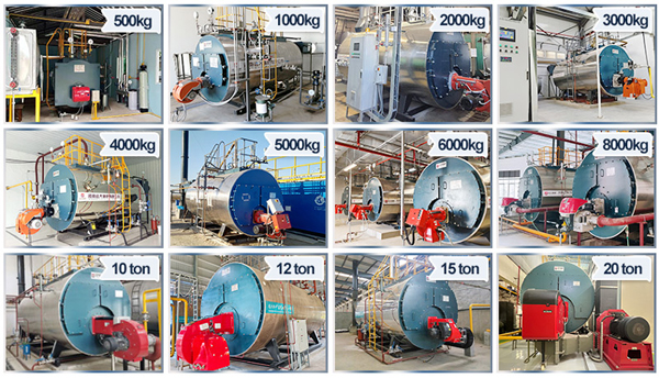 Packaged Steam Boiler 500 kg 1 ton 2 ton 3 ton 4 ton 5 ton 6 ton 10 ton 15 ton 20 ton