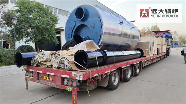 Caldera de Vapor Pirotubular 4 Ton a Gas/Diésel para Industria en Argentina