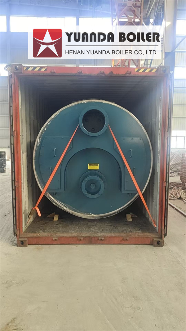3 Ton Gas Steam Boiler Delivery To Bangladesh