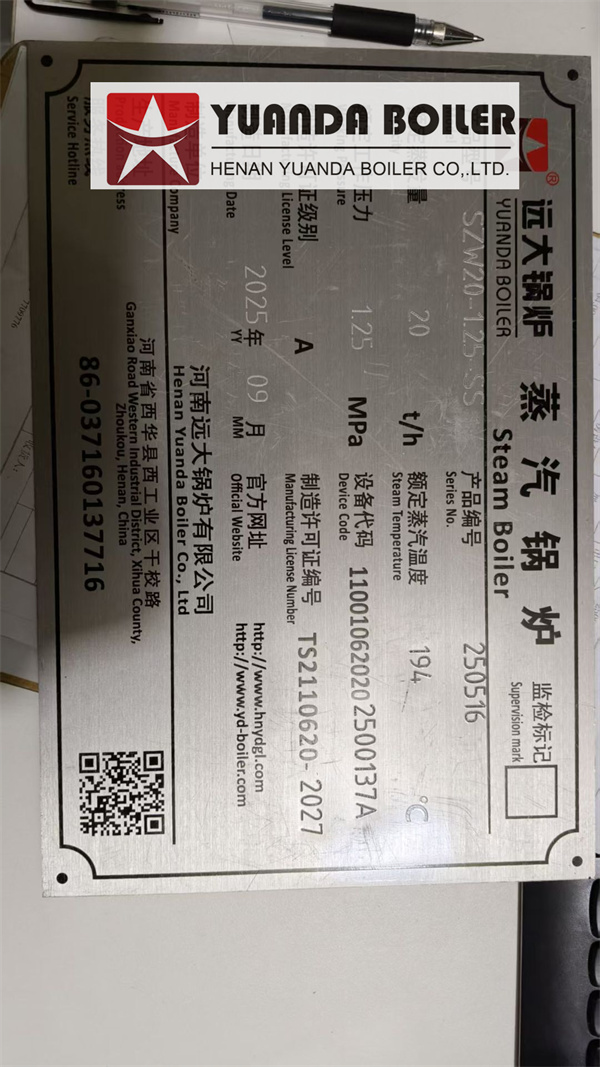 20 Ton Biomass Steam Boiler Delivery to Chile