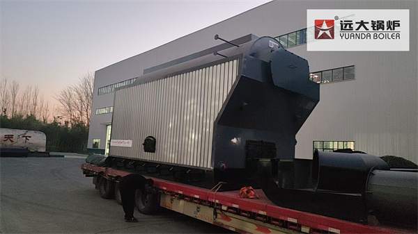 6 Ton Hand-Fired Wood Steam Boiler Delivered to Food Processing Factory in Cambodia