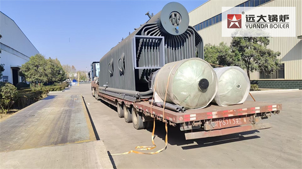 Cambodia Biomass Steam Boiler 15Ton/hour