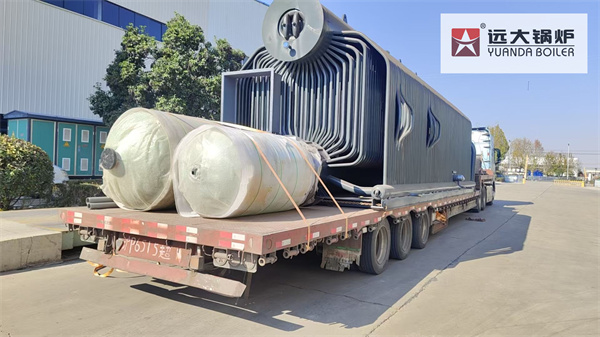 Cambodia Biomass Steam Boiler 15Ton/hour