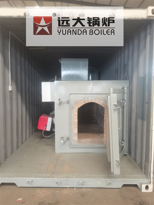 Mobile Containerised Medical Waste Incinerator 500kg hour