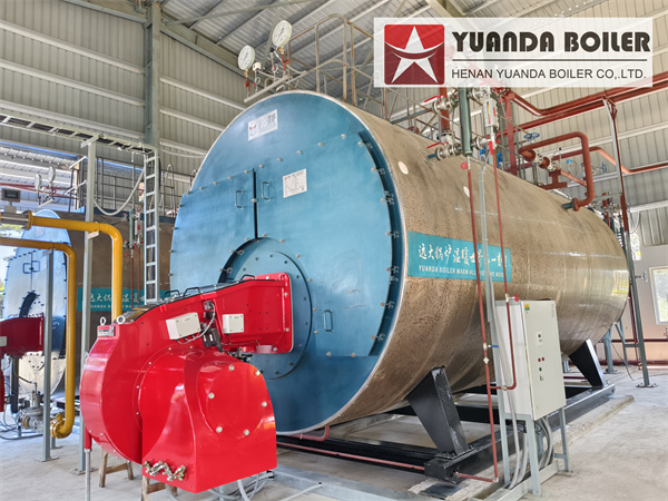 Fire Tube Gas Boiler 12Ton In Paper Industry