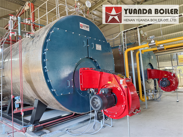 Two 12.5Ton Gas Fired Steam Boiler For Paper Plant