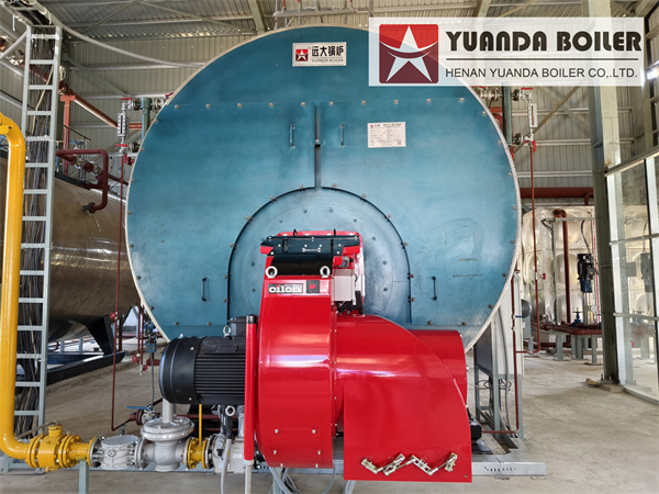 Two 12.5Ton Gas Fired Steam Boiler For Paper Plant