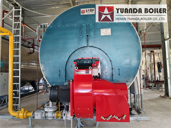 12.5 Ton/H Gas Fired Steam Boilers In Bangladesh