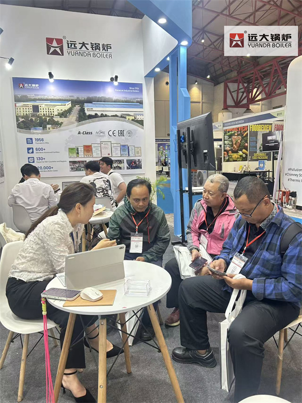 Reliable Biomass Boiler Supplier in Indonesia | High-Efficiency Industrial Solutions