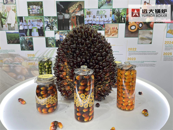 Industrial Steam Boiler Thermal Oil Boiler Supplier In Malaysia