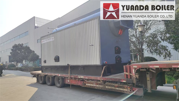 Yuanda DZL 6 Ton Coal-Fired Steam Boiler Delivered to Tanzania | Industrial Steam Solution