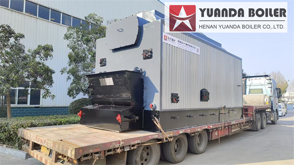 Yuanda DZL 6 Ton Coal-Fired Steam Boiler Delivered to Tanzania | Industrial Steam Solution