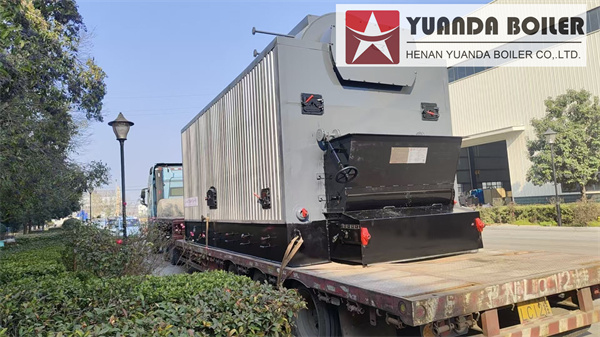 Yuanda DZL 6 Ton Coal-Fired Steam Boiler Delivered to Tanzania | Industrial Steam Solution