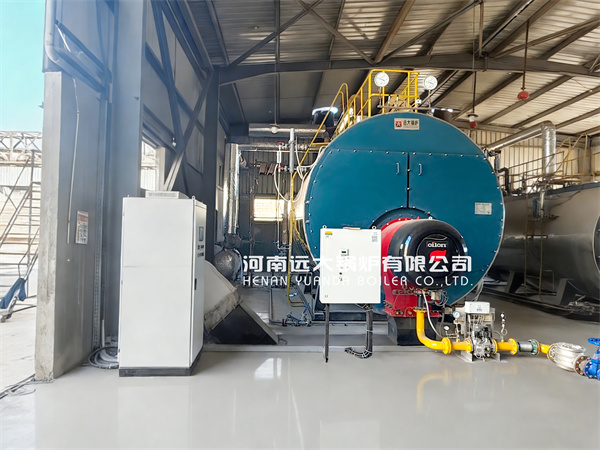 10 ton 20 ton Fire Tube Steam Boiler Supplier in Egypt