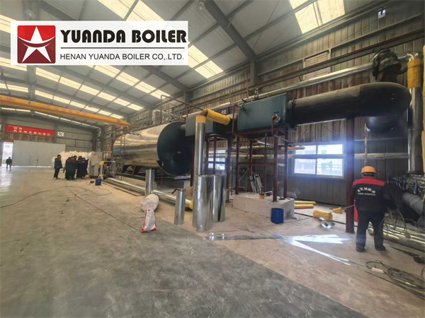 High Efficiency Oil Gas Steam Boiler 20 Ton