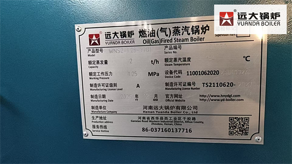 Laundry Diesel Gas Steam Boiler Delivery to Armenia