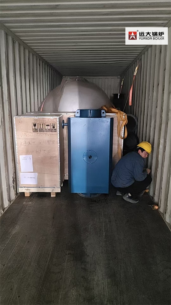 Laundry Diesel Gas Steam Boiler Delivery to Armenia