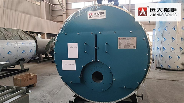 Laundry Diesel Gas Steam Boiler Delivery to Armenia