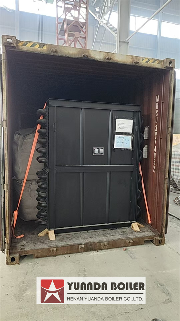 Industrial Coal Biomass Boiler Energy Saving Device Economizer