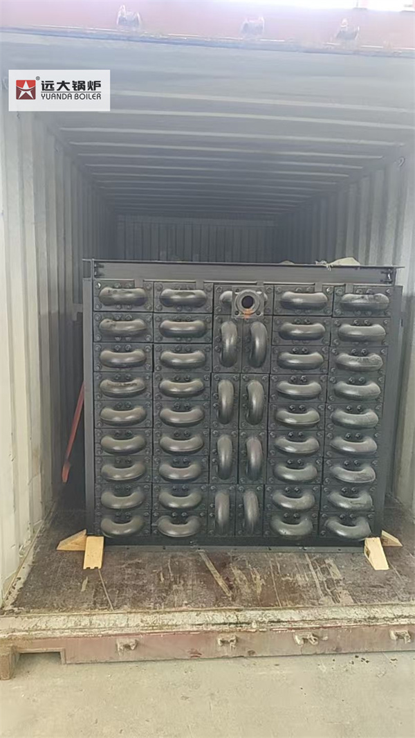 Industrial Coal Biomass Boiler Energy Saving Device Economizer