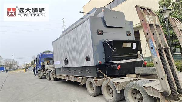 Ecuador Project Wood Processing Factory Wood Sawdust Steam Boiler 6 Ton