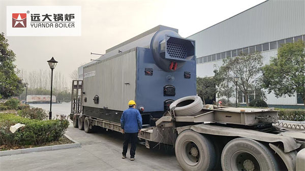 Ecuador Project Wood Processing Factory Wood Sawdust Steam Boiler 6 Ton