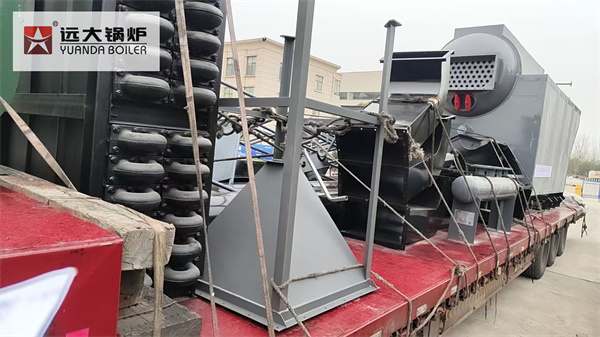 Tanzania Project – 2 Ton Biomass Wood Boiler For Avocado Oil Production