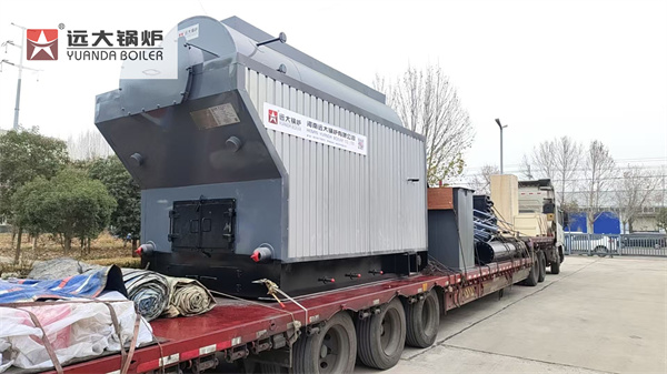 Tanzania Project – 2 Ton Biomass Wood Boiler For Avocado Oil Production