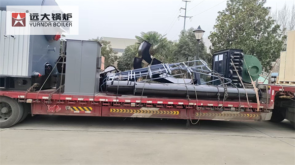 Tanzania Project – 2 Ton Biomass Wood Boiler For Avocado Oil Production