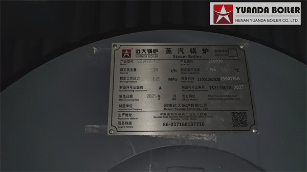 20Ton Biomass Water Tube Boiler For Vietnam Paper Plant