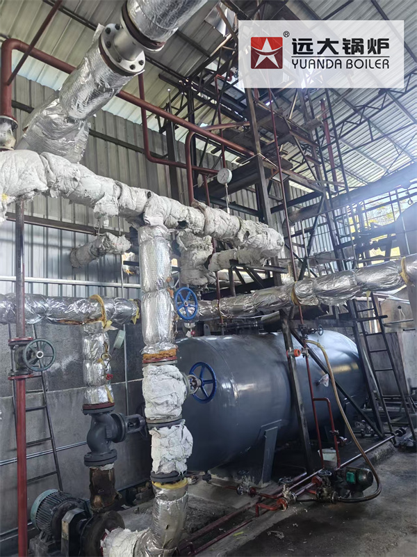 Biomass Burner Boiler Thermal Oil Heater Boiler 1800000 Kcal