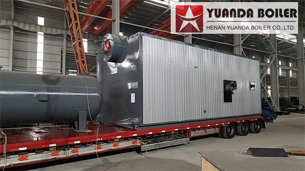10Ton Biomass Steam Boiler For Food Group Company Indonesia