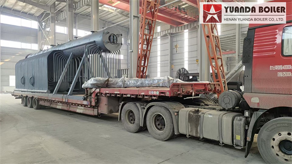 Industrial Biomass Steam Boiler Deliver to Chile