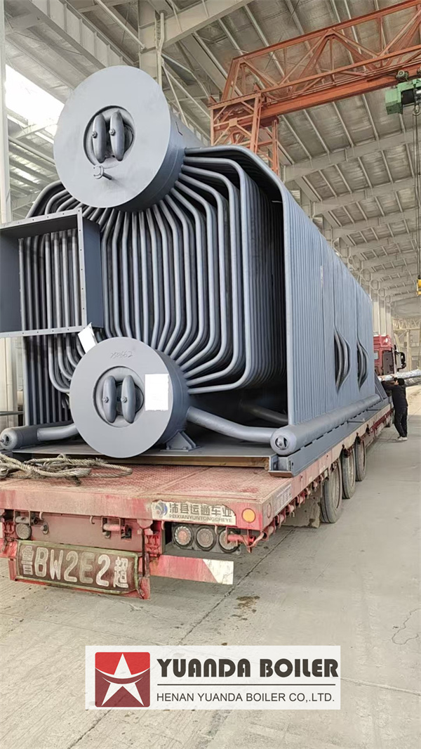 Industrial Biomass Steam Boiler Deliver to Chile