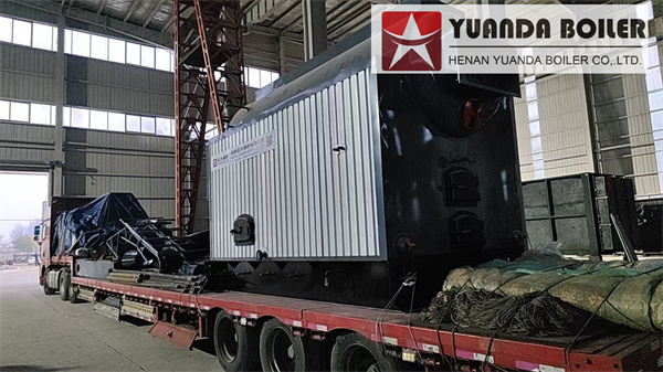 4Ton Biomass Steam Boiler Delivery To Philippines