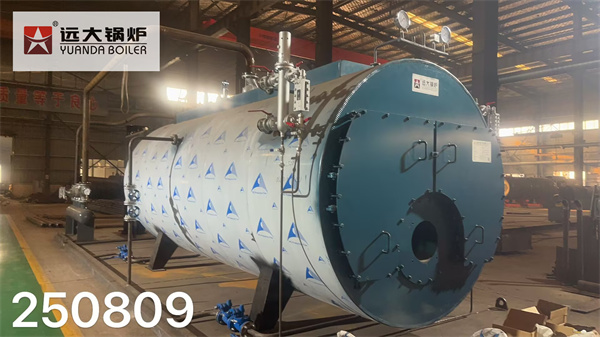 Industrial Three Pass Fire Tube Steam Boiler Installation In Factory