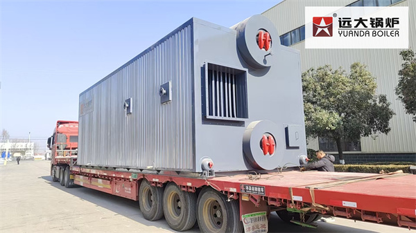 Philippines 20 Ton Coal Steam Boiler Supplier