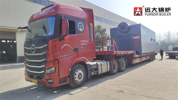 Philippines 20 Ton Coal Steam Boiler Supplier