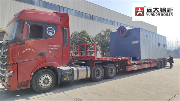 Philippines 20 Ton Coal Steam Boiler Supplier