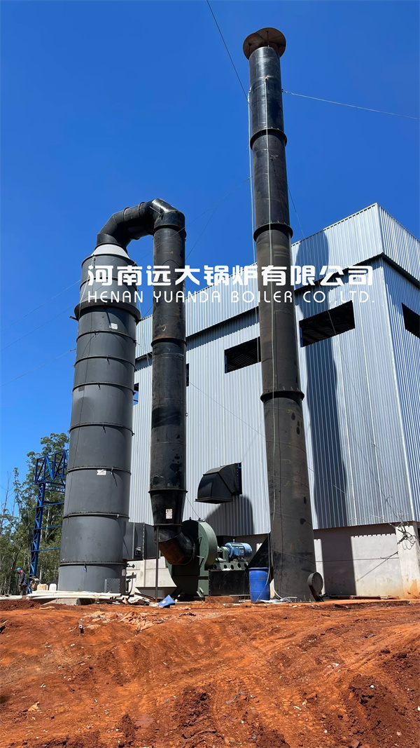 ASME Certificated Biomass Steam Boiler In Rice Mill Paraguay