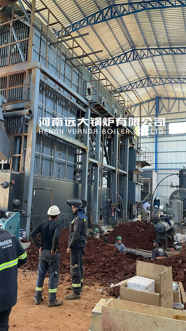 20 TPH Biomass Steam Boiler for Rice Mill in Paraguay