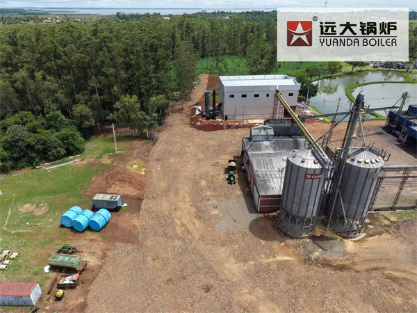 20 TPH Biomass Steam Boiler for Rice Mill in Paraguay