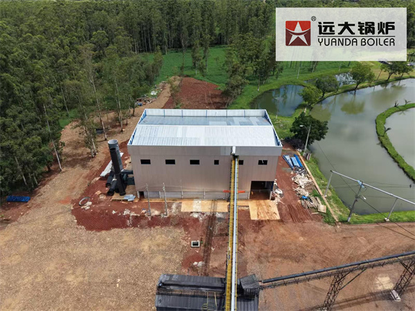 20 TPH Biomass Steam Boiler for Rice Mill in Paraguay