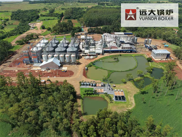 ASME Certificated Biomass Steam Boiler In Rice Mill Paraguay