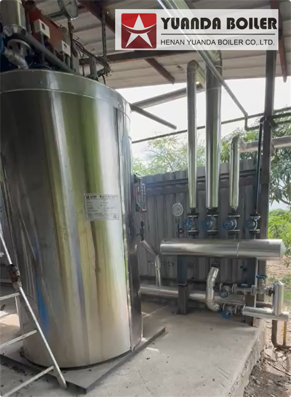 300 KG Vertical Steam Boiler For Food Processing Factory Ecuador